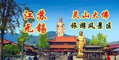 精品男插B视频免费看江苏无锡灵山大佛旅游风景区