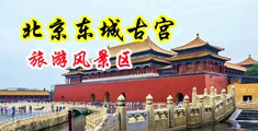 大鸡吧操逼逼视频播放中国北京-东城古宫旅游风景区